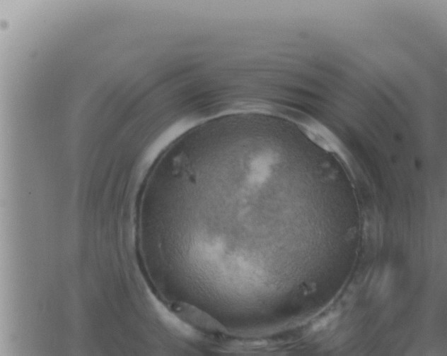 X0000062921143200601201955