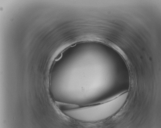 X0000062921144200601201955