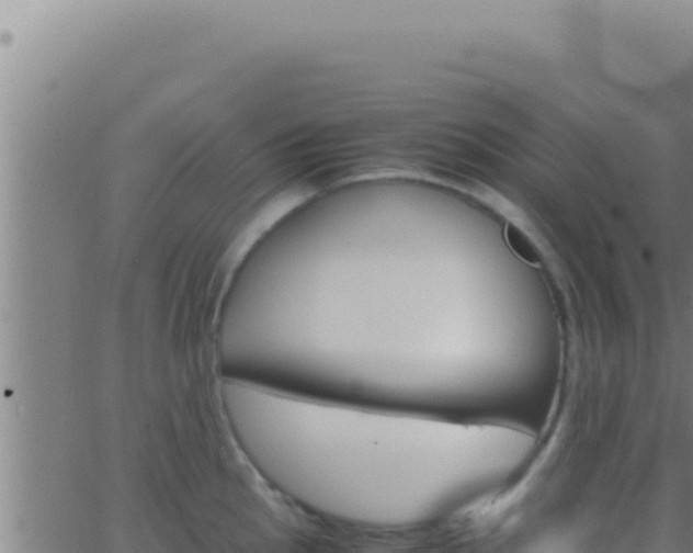 X0000062921145200601201955