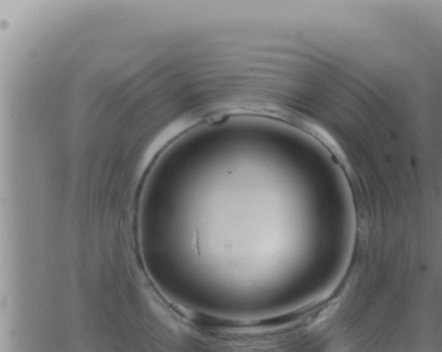 X0000062921146200601201955