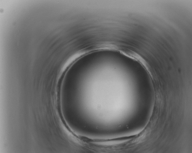 X0000062921147200601201955