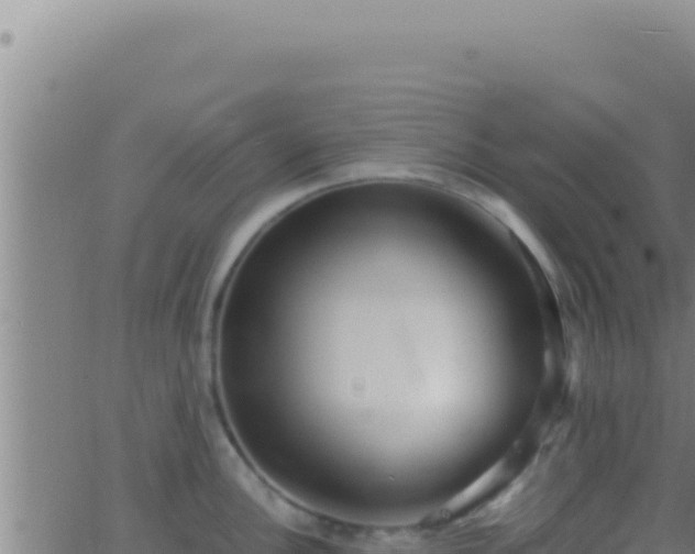 X0000062921148200601201955