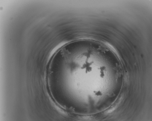 X0000062921149200601201955