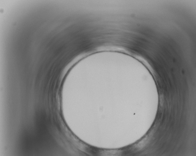 X0000062921150200601201955