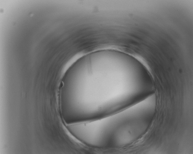 X0000062921151200601201955