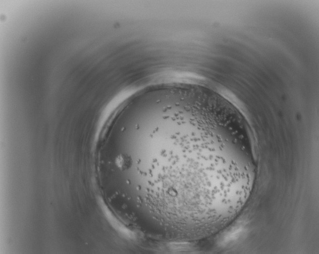 X0000062921152200601201955