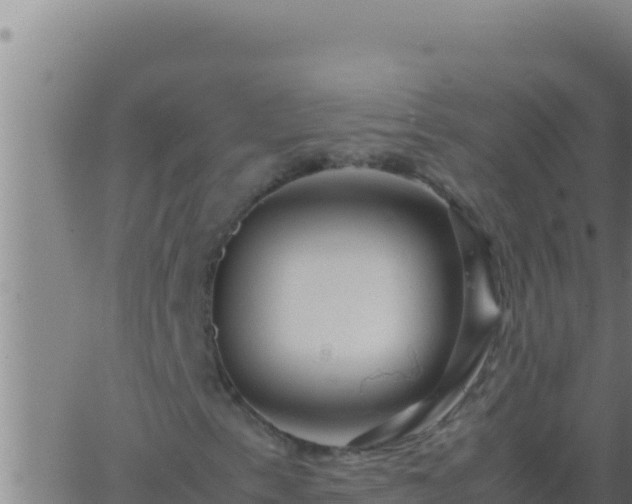 X0000062921153200601201954