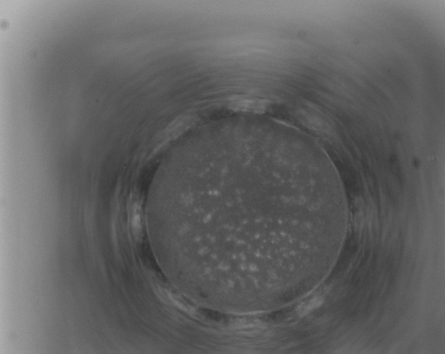 X0000062921154200601201954