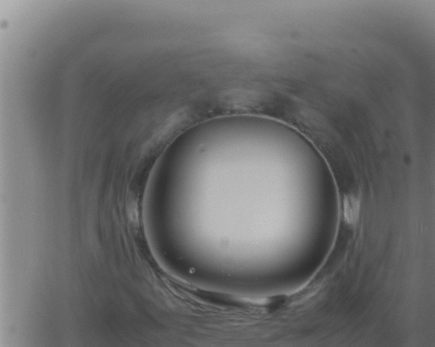 X0000062921155200601201954