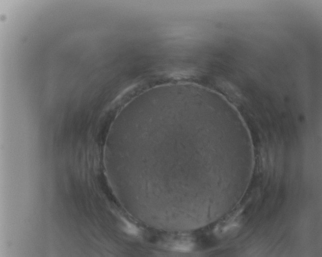 X0000062921158200601201954