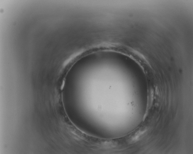 X0000062921160200601201954