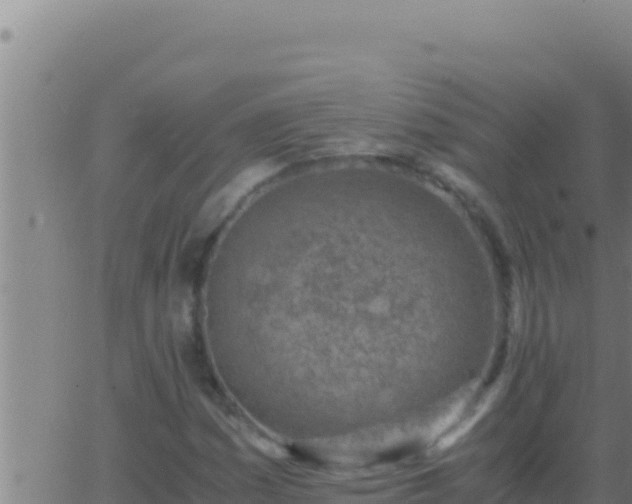 X0000062921161200601201954