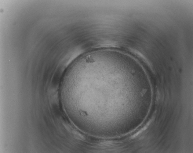 X0000062921162200601201954