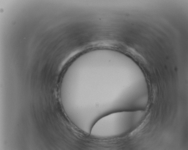 X0000062921166200601201954