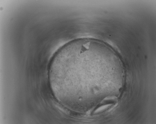 X0000062921167200601201954