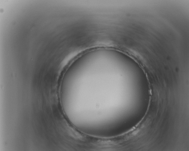 X0000062921168200601201954