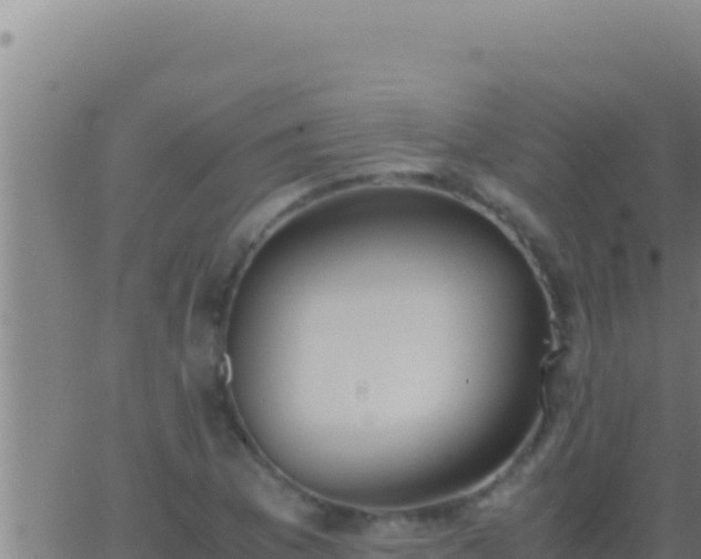 X0000062921169200601201954