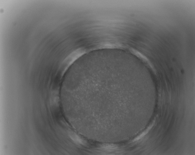 X0000062921170200601201954