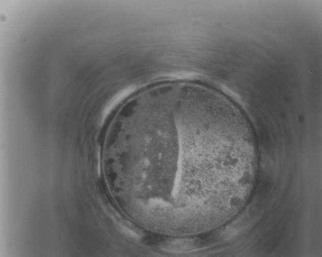 X0000062921171200601201954