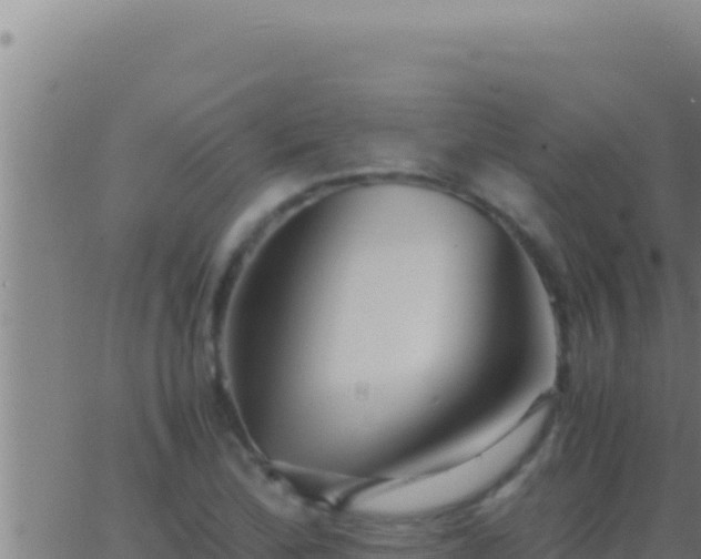 X0000062921172200601201954