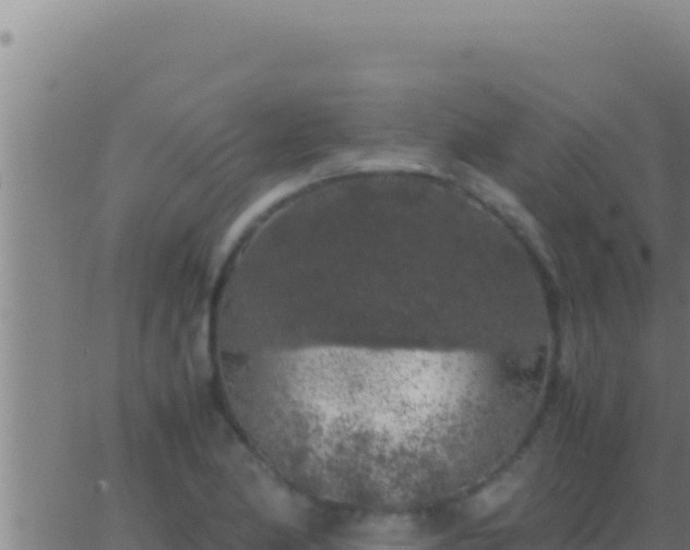 X0000062921174200601201954