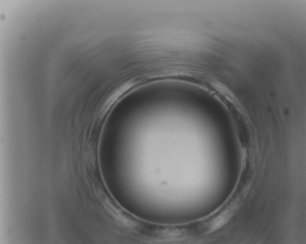 X0000062921177200601201954