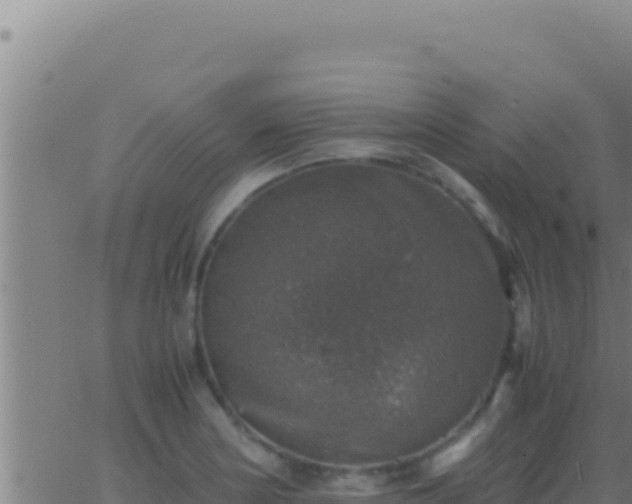 X0000062921178200601201954