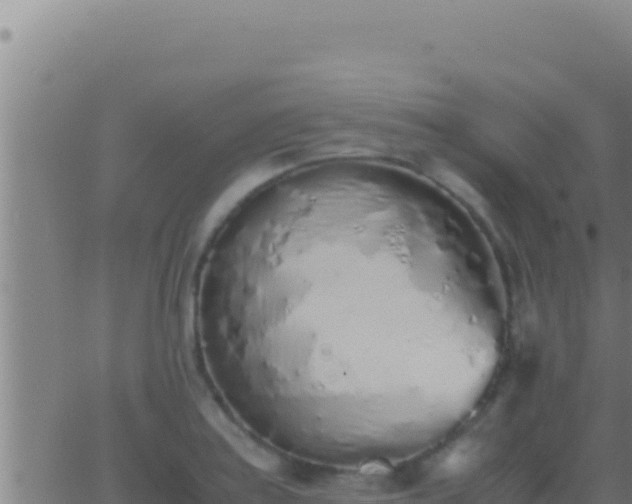 X0000062921179200601201954