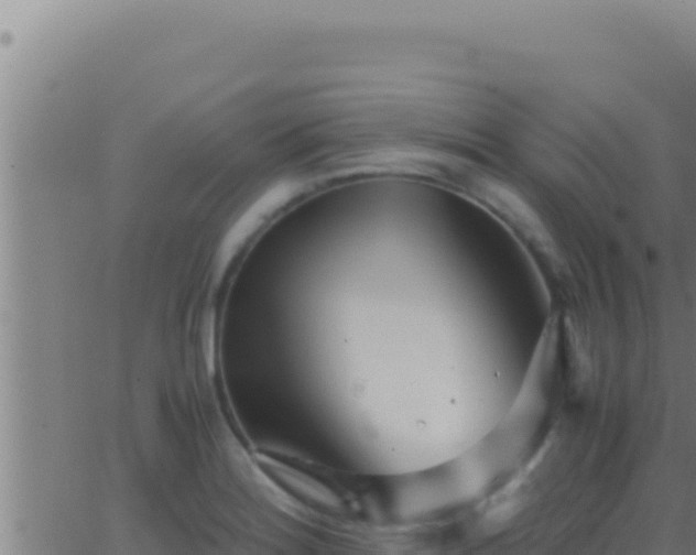 X0000062921180200601201954