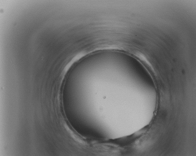 X0000062921181200601201954