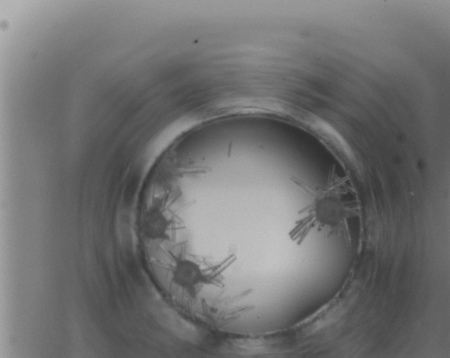 X0000062921182200601201954