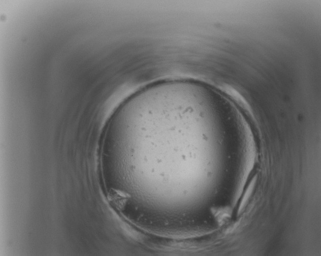 X0000062921183200601201954