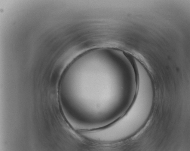 X0000062921184200601201954