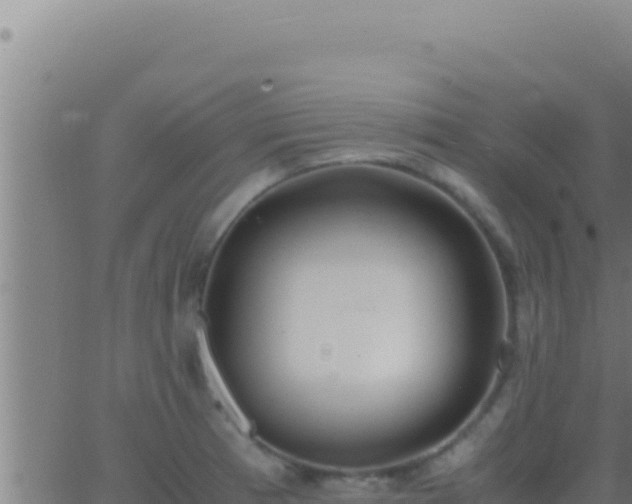 X0000062921185200601201954