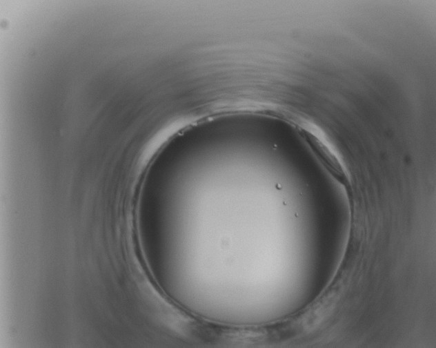 X0000062921187200601201954