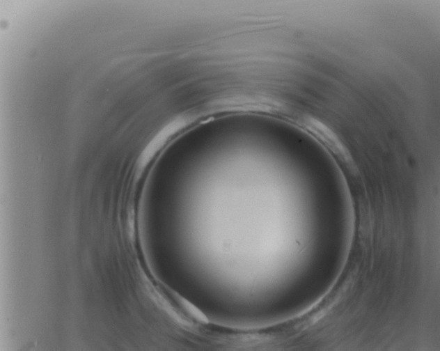 X0000062921188200601201954