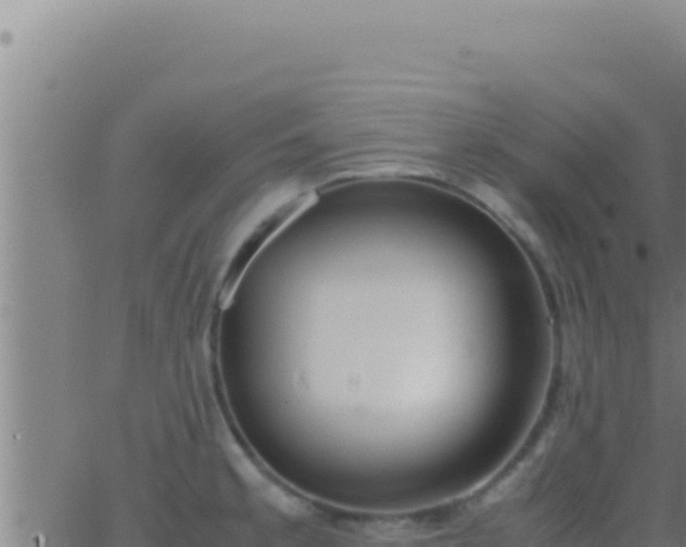 X0000062921189200601201954