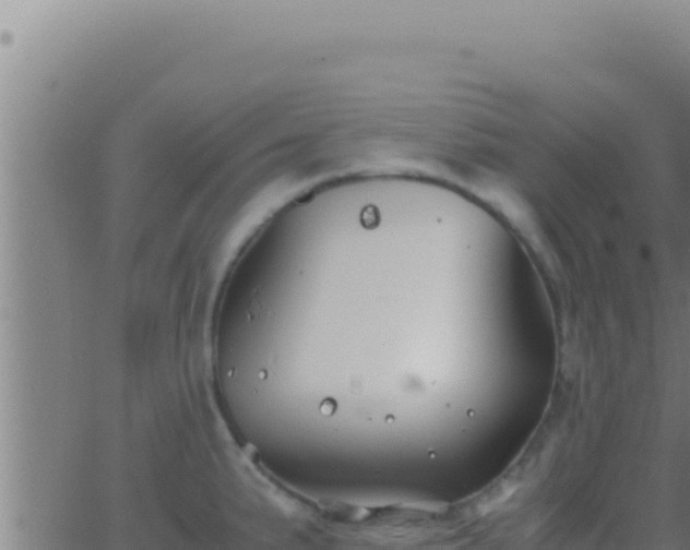 X0000062921191200601201954