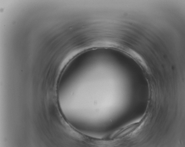 X0000062921192200601201954