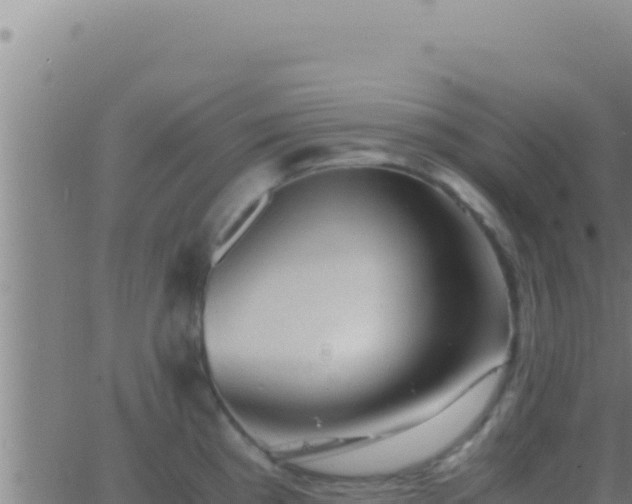 X0000062921193200601201954