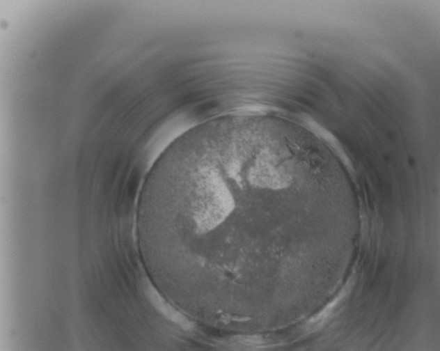 X0000062921194200601201954