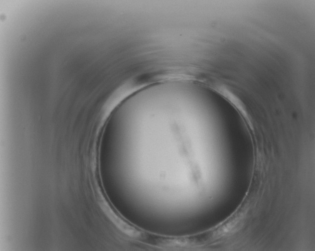 X0000062921195200601201954