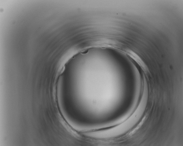 X0000062921196200601201954