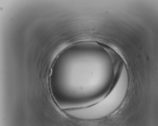 X0000062921197200601201954