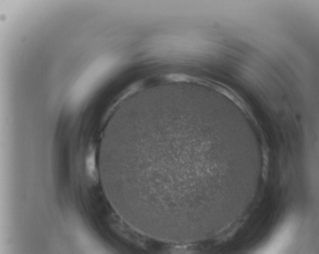 X0000062921198200601201954