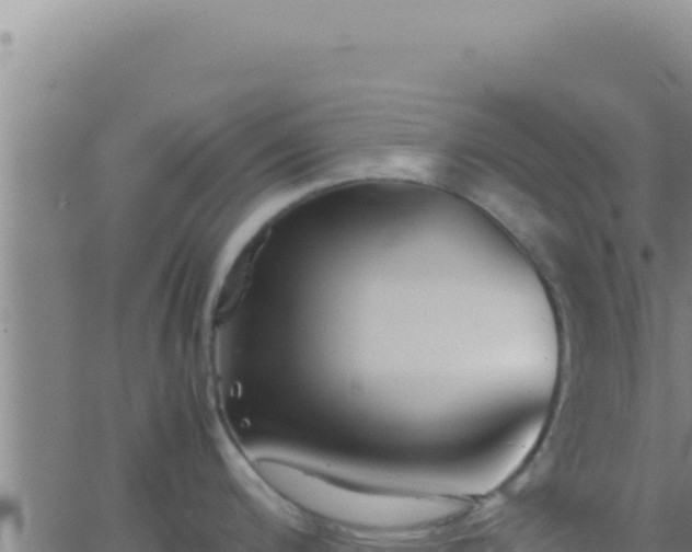 X0000062921200200601201954