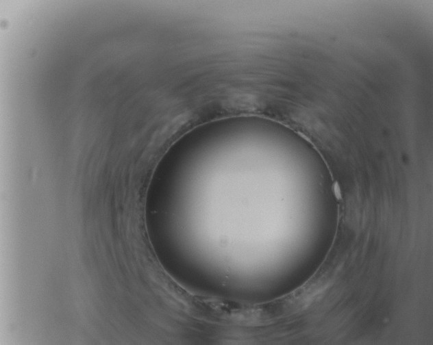 X0000062921201200601201953