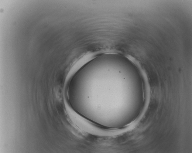 X0000062921202200601201953