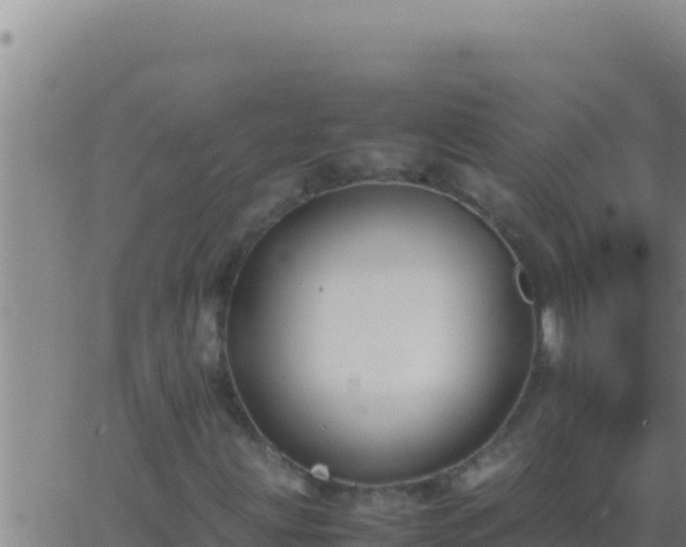 X0000062921203200601201953