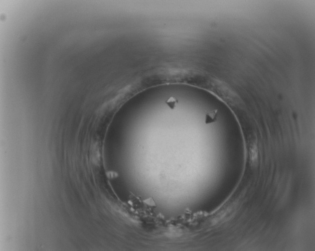 X0000062921204200601201953